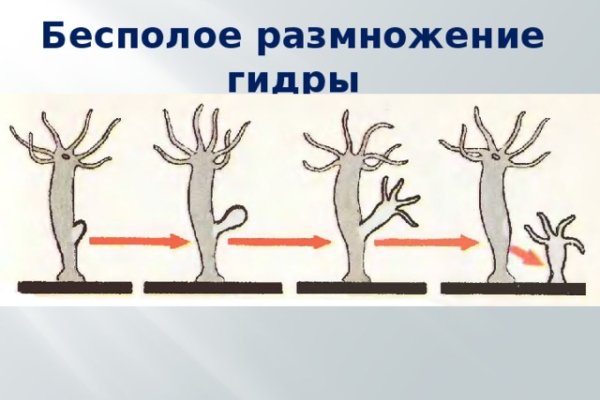 Ссылка кракен официальная тор