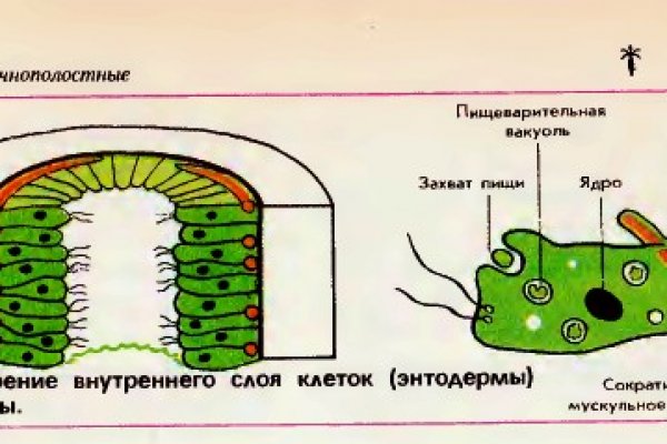 Kraken https что это