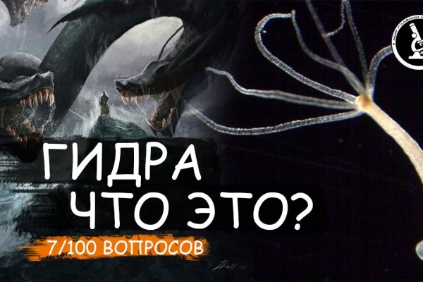 Kraken 4