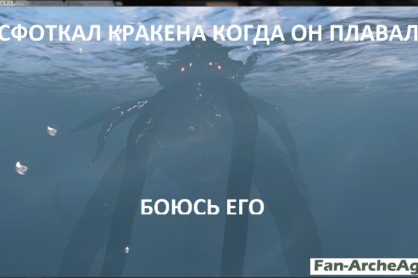Kraken url